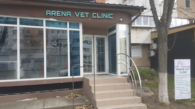 Arena Vet Clinic