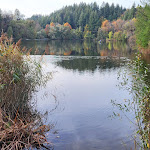 Photo n°5 de l'avis de Markus.o fait le 30/10/2022 à 10:51 sur le  Restaurant Bergsee à Bad Säckingen
