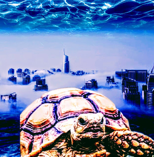 Pet Supply Store «Petco Animal Supplies», reviews and photos, 1917 Douglas Blvd, Roseville, CA 95661, USA