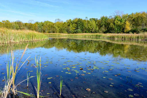 Nature Preserve «Leonard Preserve», reviews and photos, N Union St, Manchester, MI 48158, USA