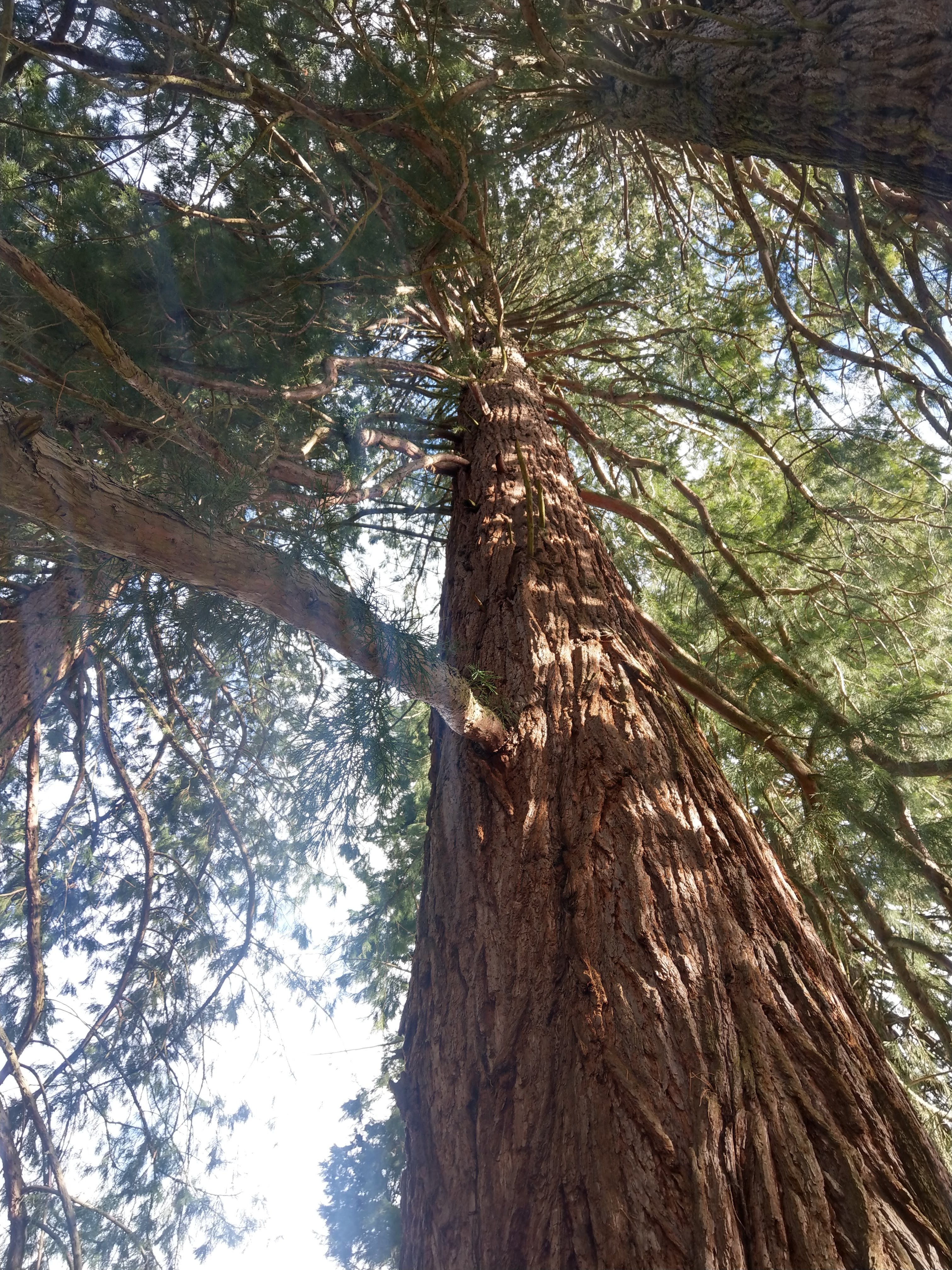 Photo n° 1 de l'avis de Kevin.a fait le 12/11/2018 à 11:13