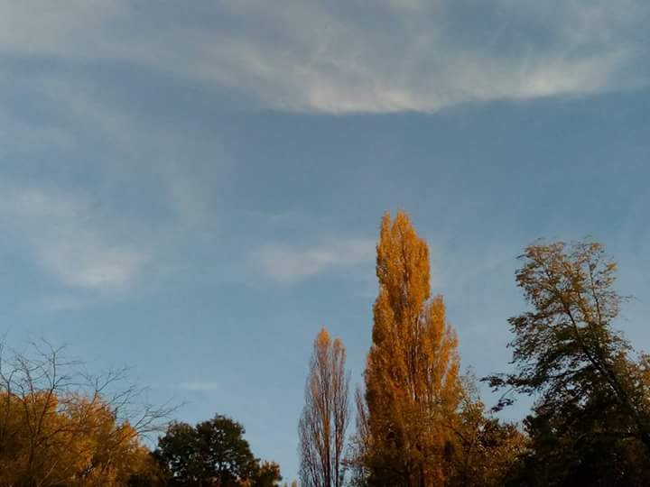 Photo n° 3 de l'avis de la.� fait le 23/11/2017 à 17:09