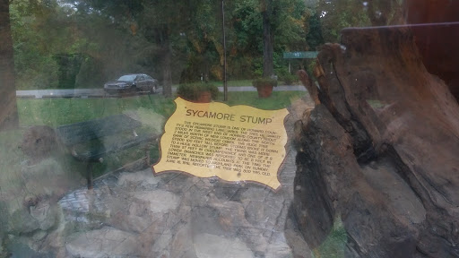 Tourist Attraction «Sycamore Stump», reviews and photos, 1402 Defenbaugh St, Kokomo, IN 46902, USA