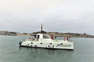 Penguin Catamaran Tours image