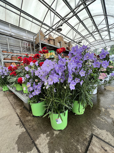 Home Improvement Store «The Home Depot», reviews and photos, 1325 Fones Rd SE, Olympia, WA 98501, USA