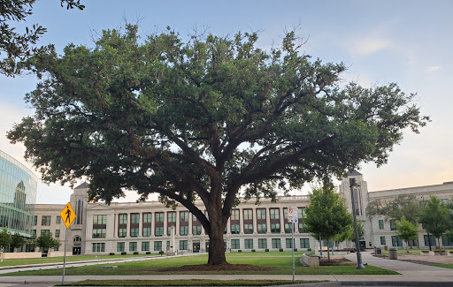 Book Store «HCC Bookstore», reviews and photos, 1215 Holman St #102, Houston, TX 77004, USA