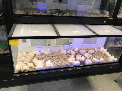 Pet Store «Pet Goods», reviews and photos, 1125 Central Park Ave, Scarsdale, NY 10583, USA