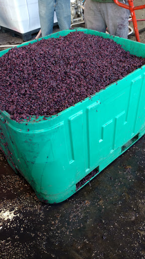 Winery «Elizabeth Chambers Cellar», reviews and photos, 455 NE Irvine St, McMinnville, OR 97128, USA