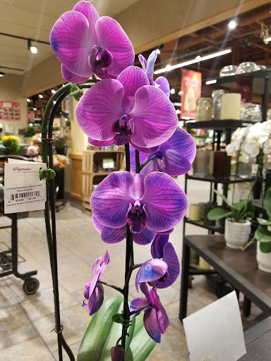 Supermarket «Wegmans», reviews and photos, 5000 Wegmans Dr, Bethlehem, PA 18017, USA