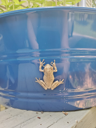 Bowling Alley «Stars and Strikes Family Entertainment Center», reviews and photos, 1700 Winder Hwy NE #100, Dacula, GA 30019, USA