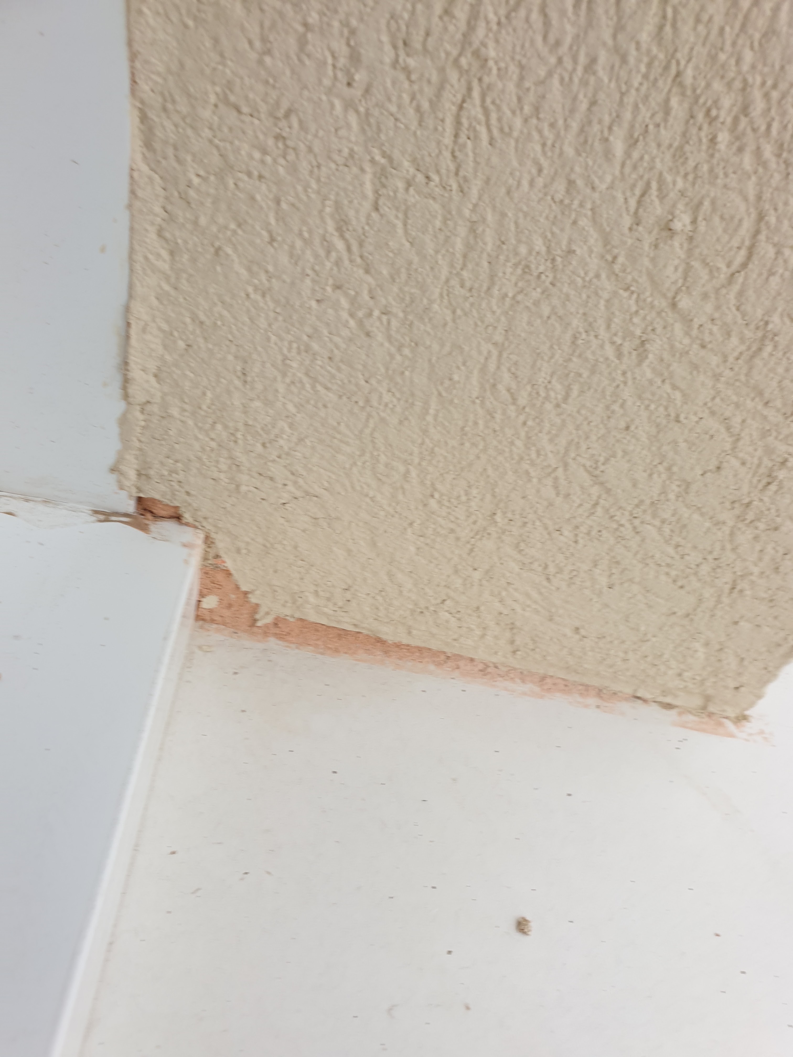 Photo n° 6 de l'avis de J.e fait le 31/07/2020 à 16:17