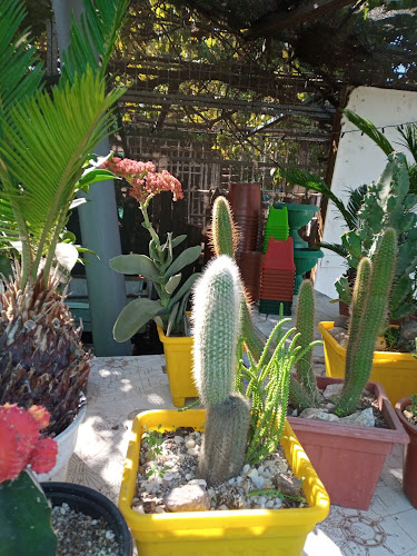 Jardin El Nogal - Centro de jardinería