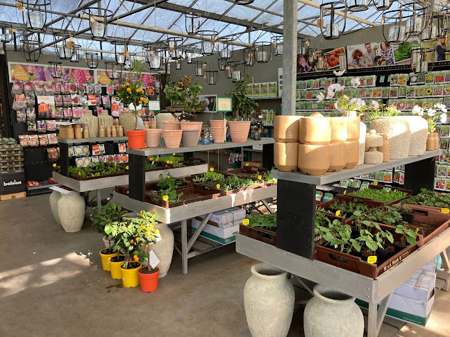 Tuincentrum Slingerland Bloemen & Planten Rotterdam - Bloemist