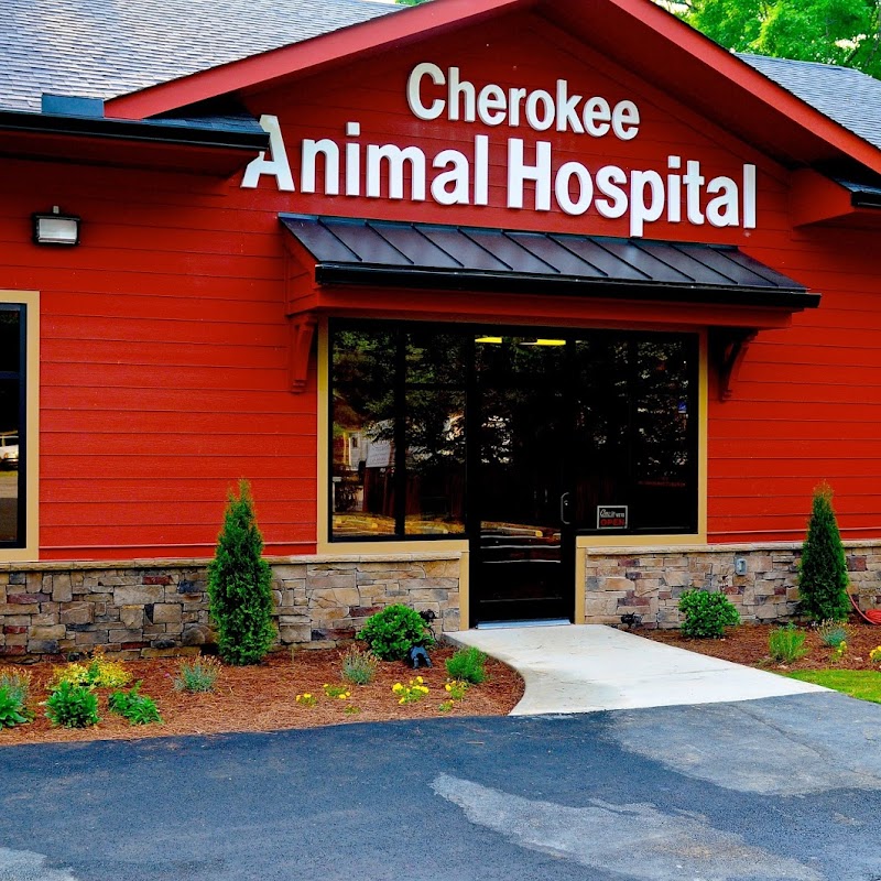 Cherokee Animal Hospital: Dr. Bryant