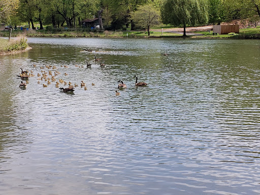 Nature Preserve «Hidden Oaks Conservation Area», reviews and photos, 419 Trout Farm Rd, Bolingbrook, IL 60440, USA