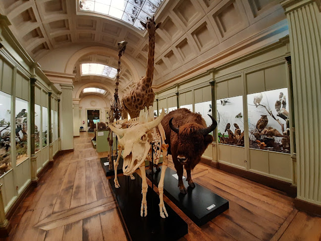 Musée d'Histoire naturelle & Vivarium - Charleroi