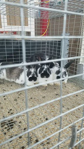 Department Store «Rural King», reviews and photos, 1650 S Main St, Madisonville, KY 42431, USA