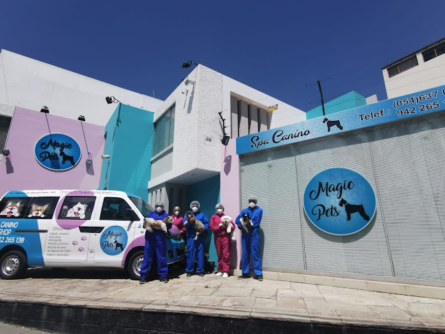Opiniones de Magic Pets en Arequipa - Gimnasio
