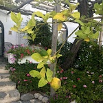 Photo n°5 de l'avis de Debbie.o fait le 20/09/2019 à 07:31 sur le  Hotel Villa Amore à Ravello