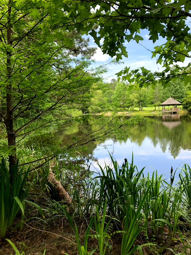 Nature Preserve «MaryAnn Brown Nature Preserve», reviews and photos, 13515 LA-965, St Francisville, LA 70775, USA