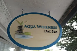 Aqua Wellness Day Spa image