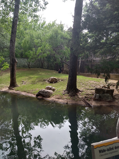 Petting Barn at Fort Worth Zoo