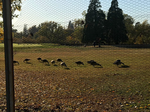 Golf Course «Campus Commons Golf Course», reviews and photos, 2 Cadillac Dr, Sacramento, CA 95825, USA
