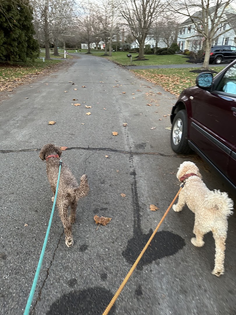 The Pet Nanny