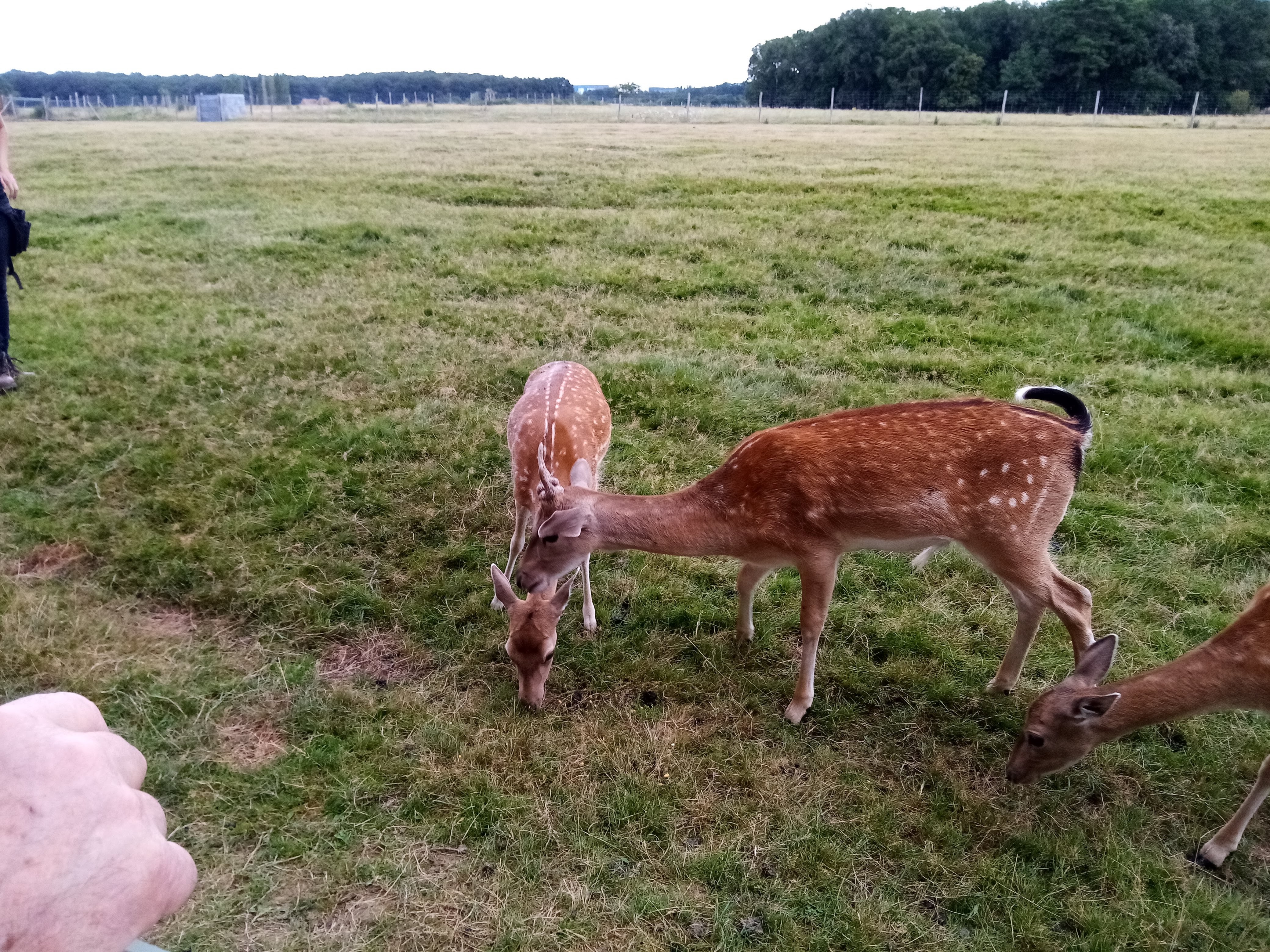 Photo n° 10 de l'avis de Aurelie.u fait le 17/08/2021 à 19:49