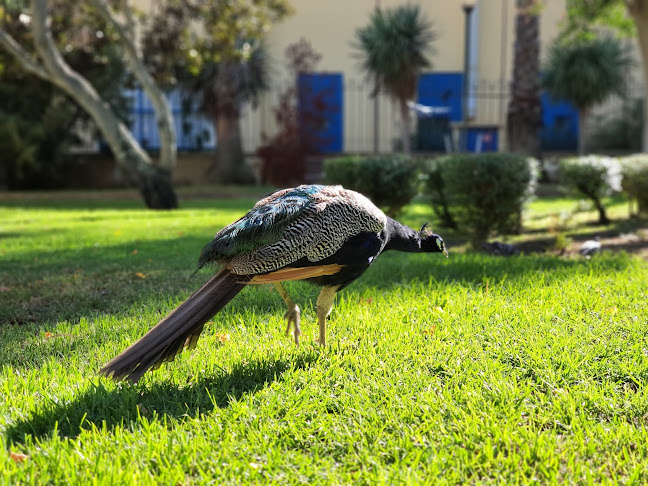 Avaliações doJardim da Alameda João de Deus em Faro - Creche