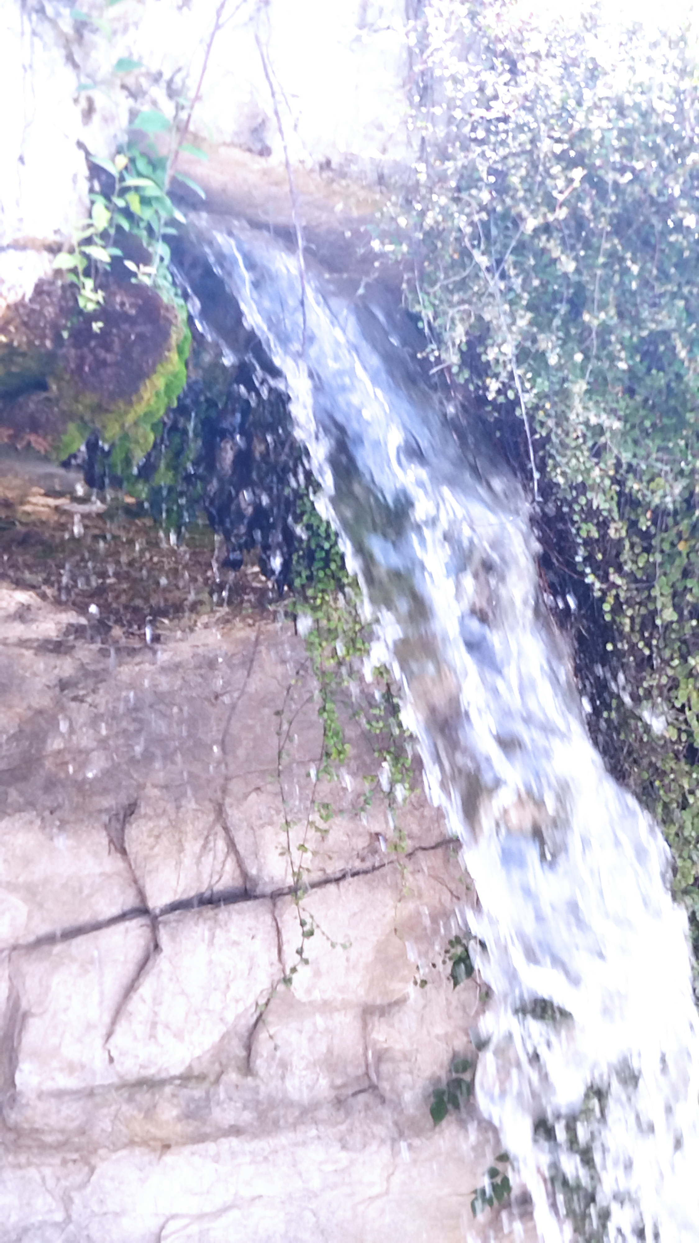 Photo n° 3 de l'avis de Laurence.a fait le 13/07/2023 à 22:46