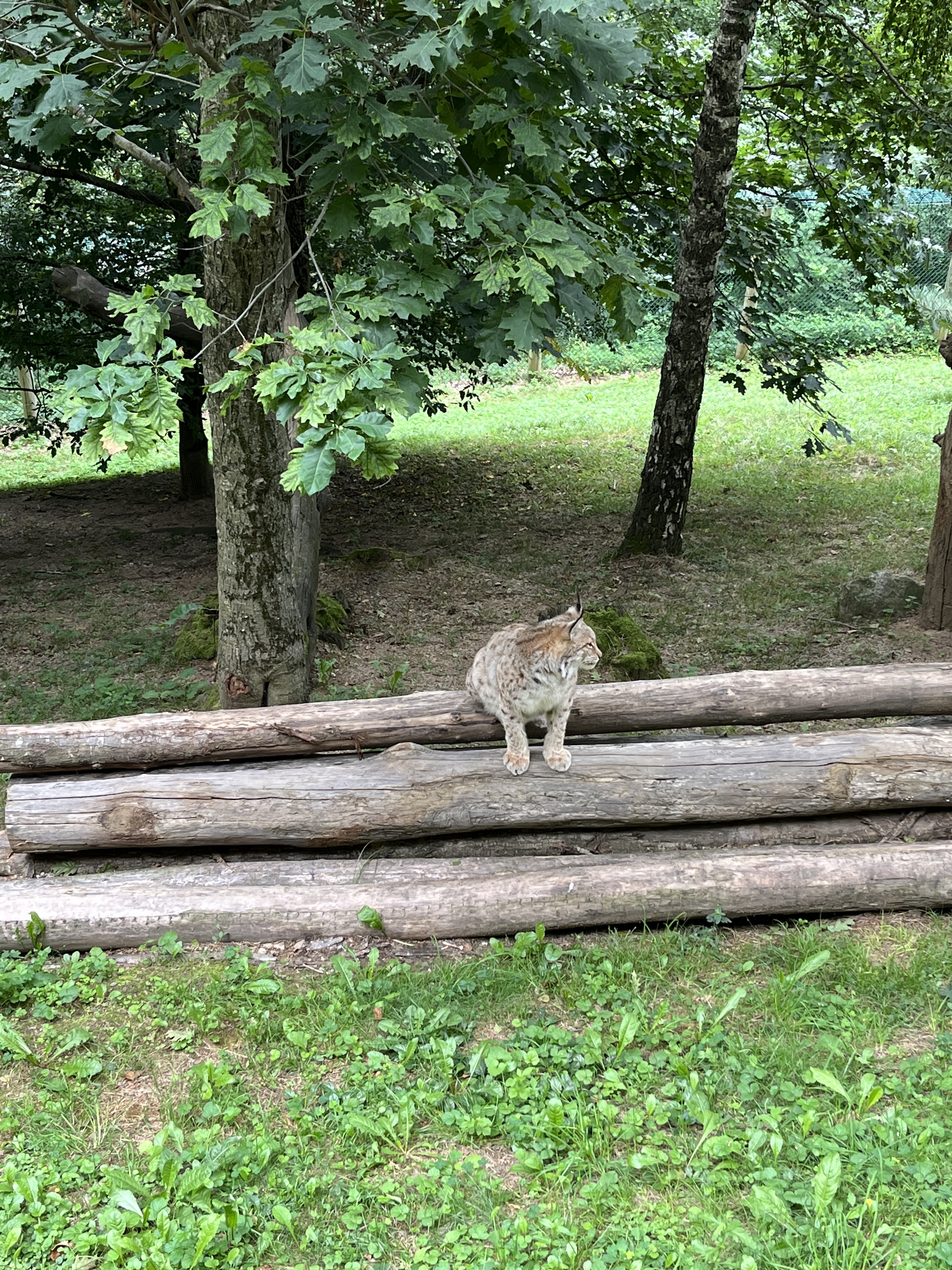Photo n° 6 de l'avis de QIN.I fait le 16/07/2023 à 10:58