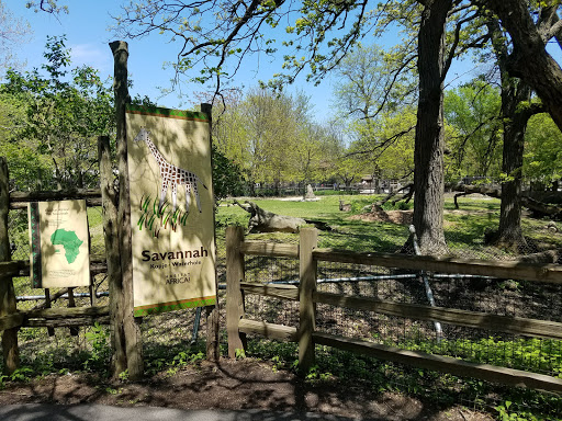 Zoo «Hamill Family Play Zoo», reviews and photos, 3300 Golf Rd, Brookfield, IL 60513, USA