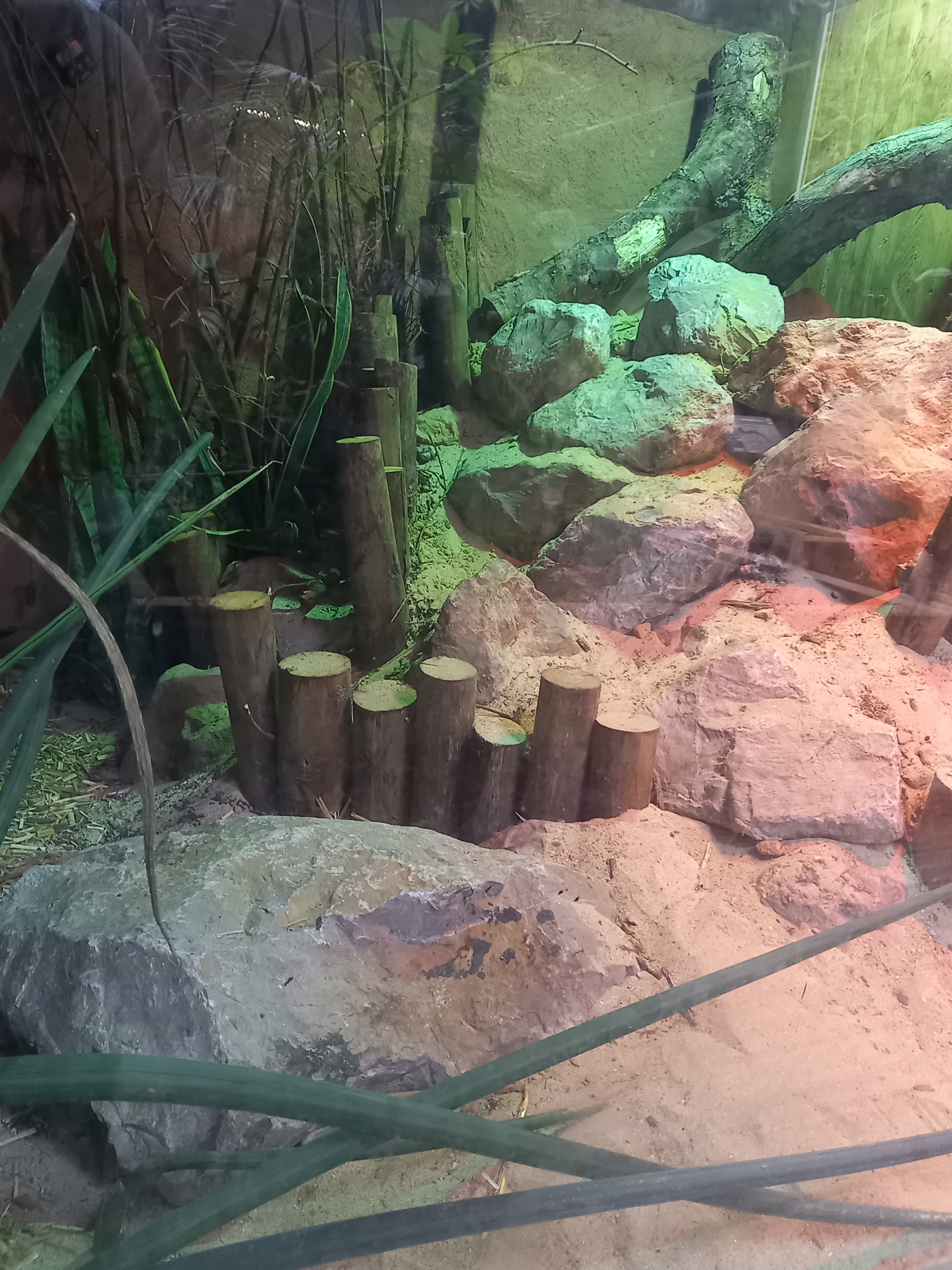 Photo n° 7 de l'avis de Metin.k fait le 18/06/2022 à 14:47