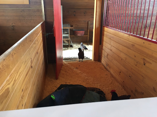 Park «Endicott Park (Town of Danvers)», reviews and photos, 57 Forest St, Danvers, MA 01923, USA