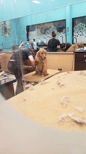 Pet Supply Store «PetSmart», reviews and photos, 4601 Outer Loop, Louisville, KY 40219, USA