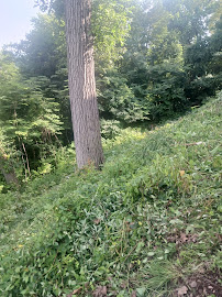 AJM Yardwork, Scrap metal & cleanout outs and dumpster services - Photo 9 - Car repair in , Staten Island