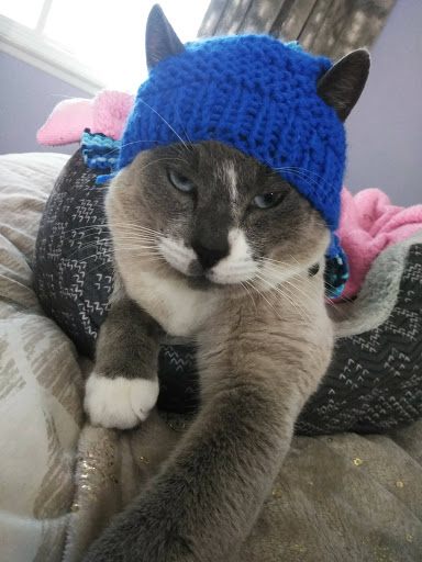 Pet Supply Store «PetSmart», reviews and photos, 4120 E 4th St, Ontario, CA 91764, USA