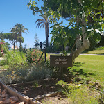 Photo n°6 de l'avis de Inês.e fait le 24/07/2018 à 07:56 sur le  Vilalara Thalassa Resort à Porches