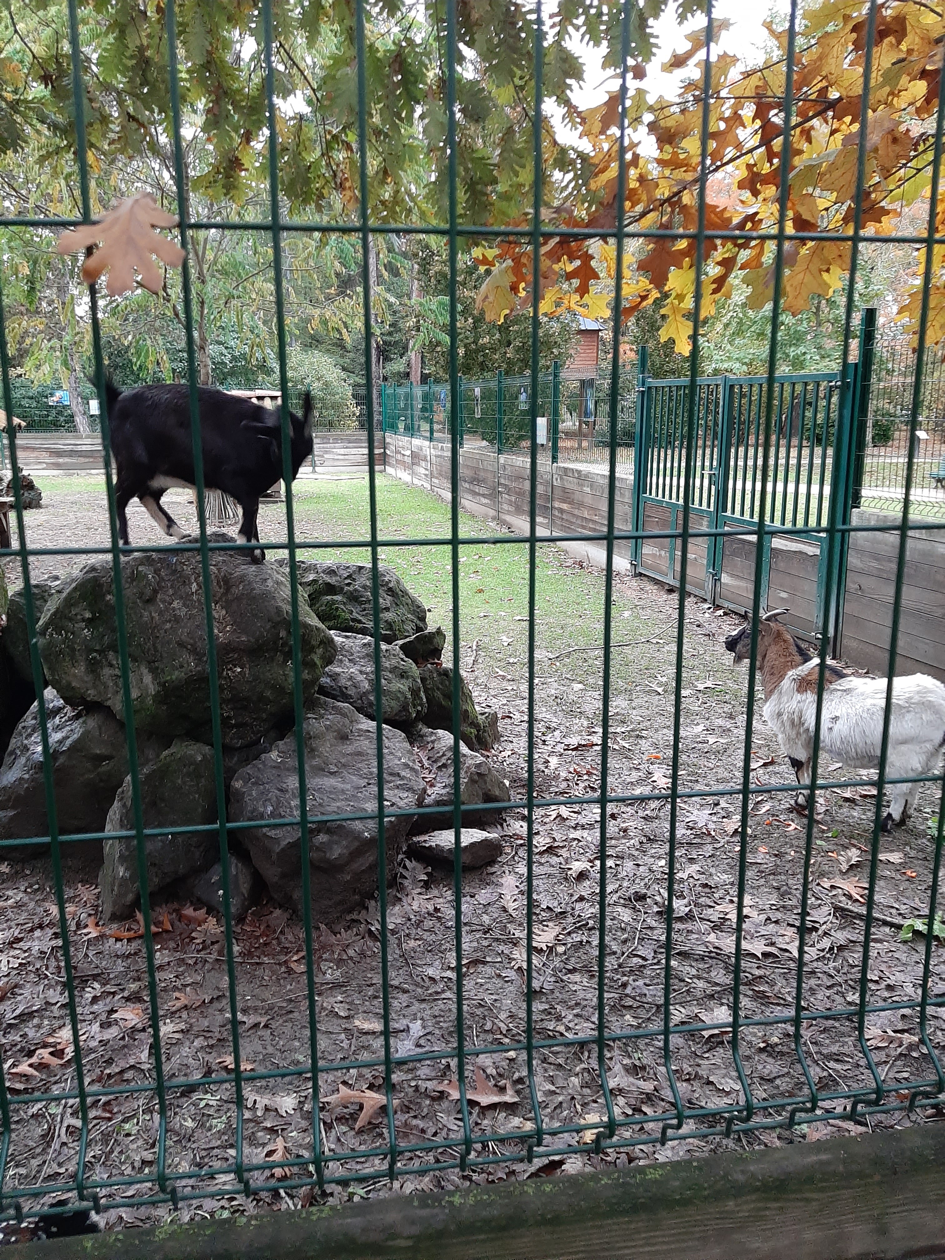 Photo n° 11 de l'avis de Nicole.r fait le 18/11/2019 à 17:46