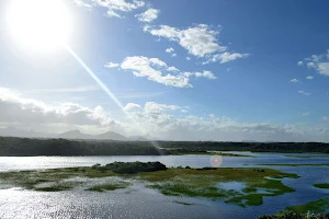 Paulo César Vinha State Park image