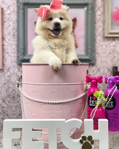 Pet Store «Furry Babies Inc», reviews and photos, 3340 Mall Loop Dr, Joliet, IL 60431, USA