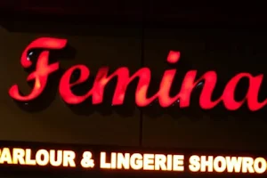 Femina Beauty Parlor (Only for Ladies) image