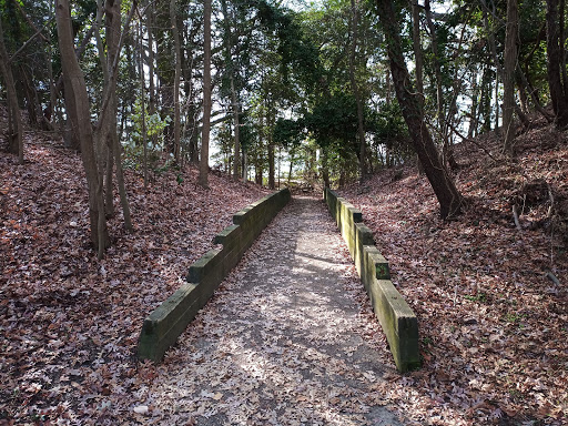 Picnic ground Newport News