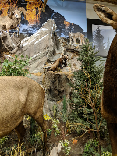 Outdoor Sports Store «Field & Stream», reviews and photos, 1501 Sentinel Dr Ste B, Chesapeake, VA 23320, USA