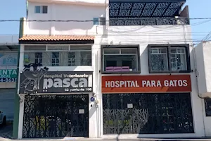 Pascal Veterinary Hospital image