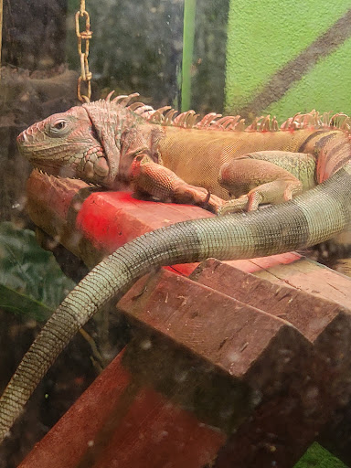 Zoo «Sierra Safari Zoo», reviews and photos, 10200 N Virginia St, Reno, NV 89506, USA