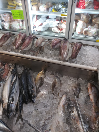 Asian Grocery Store «Lien Hoa Oriental Market», reviews and photos, 3692 W Waters Ave, Tampa, FL 33614, USA