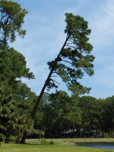 Golf Club «Dolphin Head Golf Club», reviews and photos, 56 High Bluff Rd, Hilton Head Island, SC 29926, USA