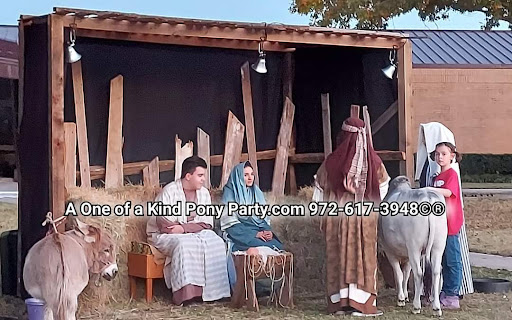 Zoo «A One of A Kind Pony Party», reviews and photos, 912 Bells Chapel Cir, Waxahachie, TX 75165, USA